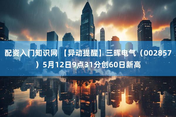 配资入门知识网 【异动提醒】三晖电气（002857）5月12日9点31分创60日新高