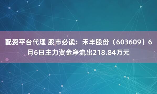 配资平台代理 股市必读：禾丰股份（603609）6月6日主力资金净流出218.84万元